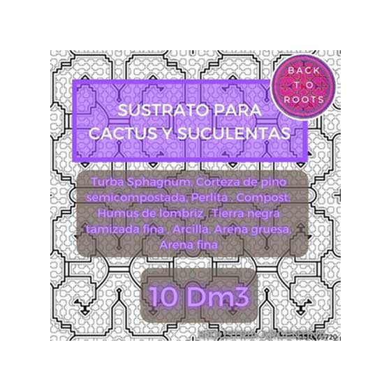BACK-TO-ROOTS-CACTUS-Y-SUCULENTAS-10-DM3