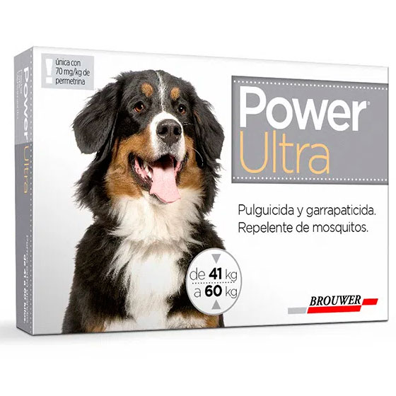 POWER-ULTRA-40-a-60-KG-(GRIS)