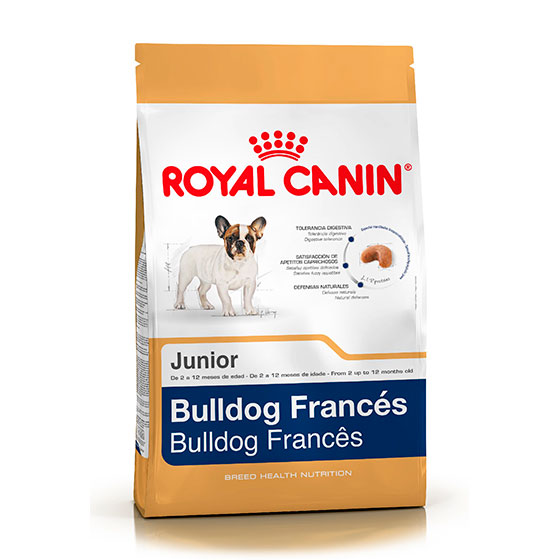 bulldog-frances-jr-3kg-182